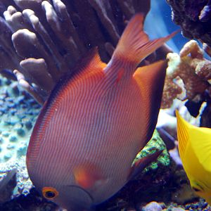 Exhibits at the Aquarium