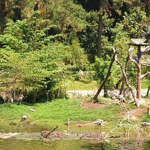 Lake Island at Saigon Zoo, 16/03/12