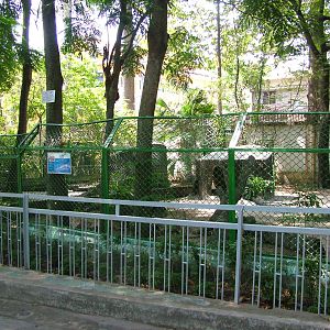 Jackal Exhibit at Saigon Zoo, 16/03/12