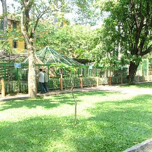 Small Animal Cages at Saigon Zoo, 16/03/12
