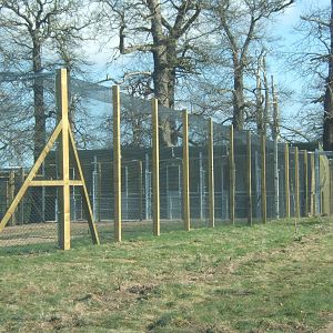 View of new Tiger House