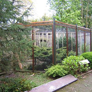 Construction work on Aviarys