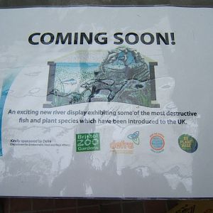 Sign for new exhibit