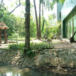 Orang-Utan Exhibit at Saigon Zoo, 16/03/12