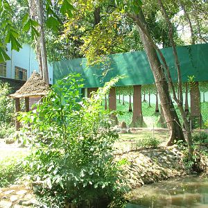 Orang-Utan Exhibit at Saigon Zoo, 16/03/12