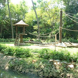 Orang-Utan Exhibit at Saigon Zoo, 16/03/12