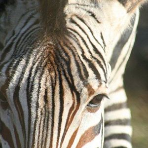 Ready for my close up?