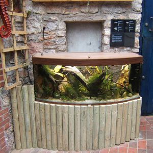 New tank in the entrance of the Aquarium