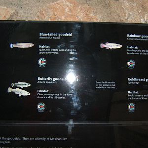 New sign for tank in entrance