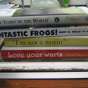 More interesting books in the Amphibian Pods