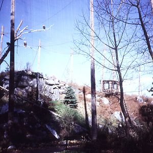 Bald Eagle Aviary - 1987