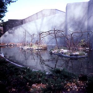 Gibbon enclosure - 1987