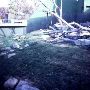 Gorilla enclosure - 1987