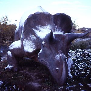 Triceratops, Prehistoric Park - 1987