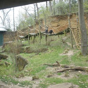 Mokomboso Valley (Chimp Exhibit)