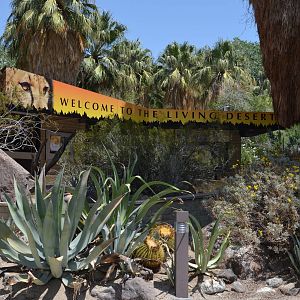 The Living Desert Entrance