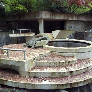 Abandoned Polar Bear Enclosure