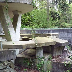 Abandoned Polar Bear Enclosure