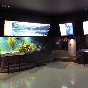 Treasures of the B.C. Coast Exhibits