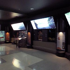 Treasures of the B.C. Coast Exhibits