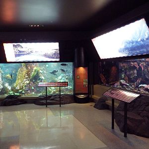 Treasures of the B.C. Coast Exhibits