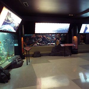 Treasures of the B.C. Coast Exhibits