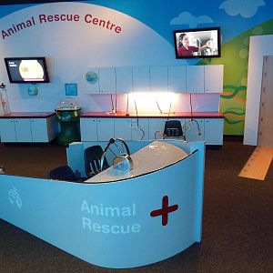 Clownfish Cove - Kiddie Zone