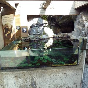 Touch Tank