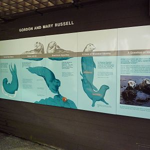 Sea Otter Exhibit - Signage