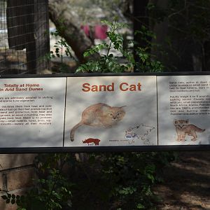 Sand Cat Information Signage
