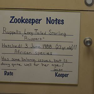 Zookeeper Notes