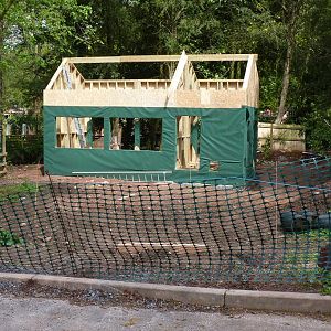 Coati development 6 May 2012