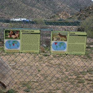 signage - unusual cohabitants