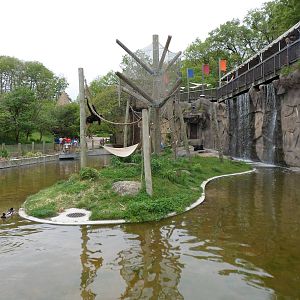 Spider Monkey Island