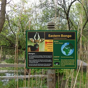Eastern Bongo Sign