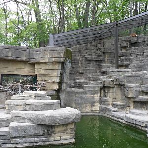 Maned Wolf Exhibit and Saki Monkey Island