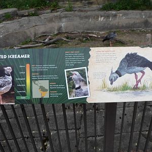 New Creasted Screamer Sign