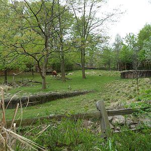 African Mixed Species Exhibit View #2