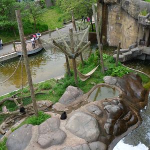 Spider Monkey Island From Above