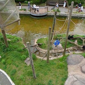 Spider Monkey Island From Above