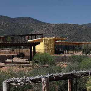 reptile exhibit construction