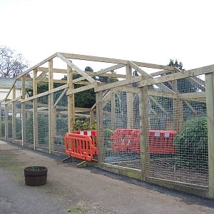 Sewerby Zoo, "Lemur Land" nearing completion 5th May 2012