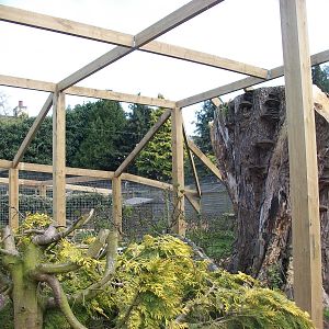 Sewerby Zoo, "Lemur Land" nearing completion 5th May 2012