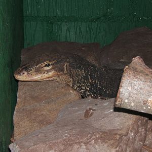 Asian Water Monitor