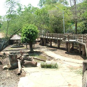 Mixed Deer Paddock at Saigon Zoo, 16/03/12