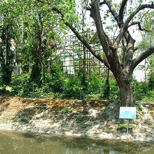 Langur Island at Saigon Zoo, 16/03/12