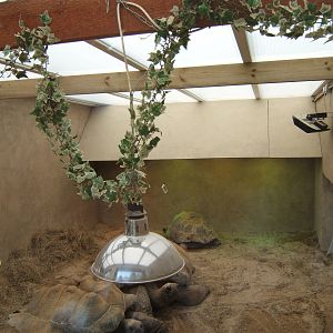 View inside the extended Giant Tortoise House