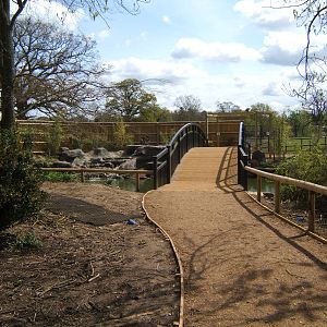 View of altered Waterfowl exhibit