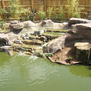 View of altered Waterfowl exhibit