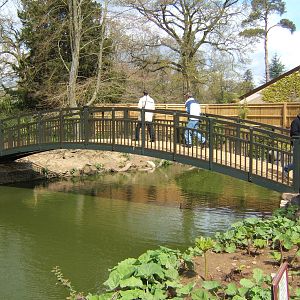 View of altered Waterfowl exhibit